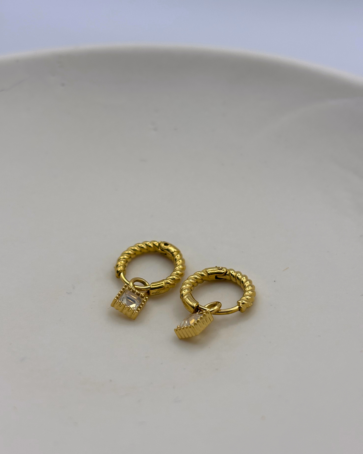 Piercings, puces et anneaux