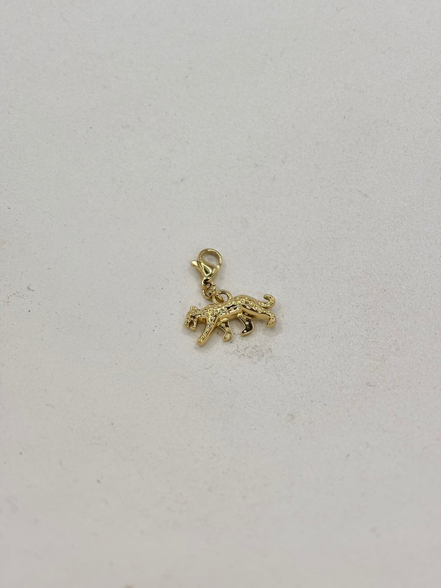 Charm · Léopard