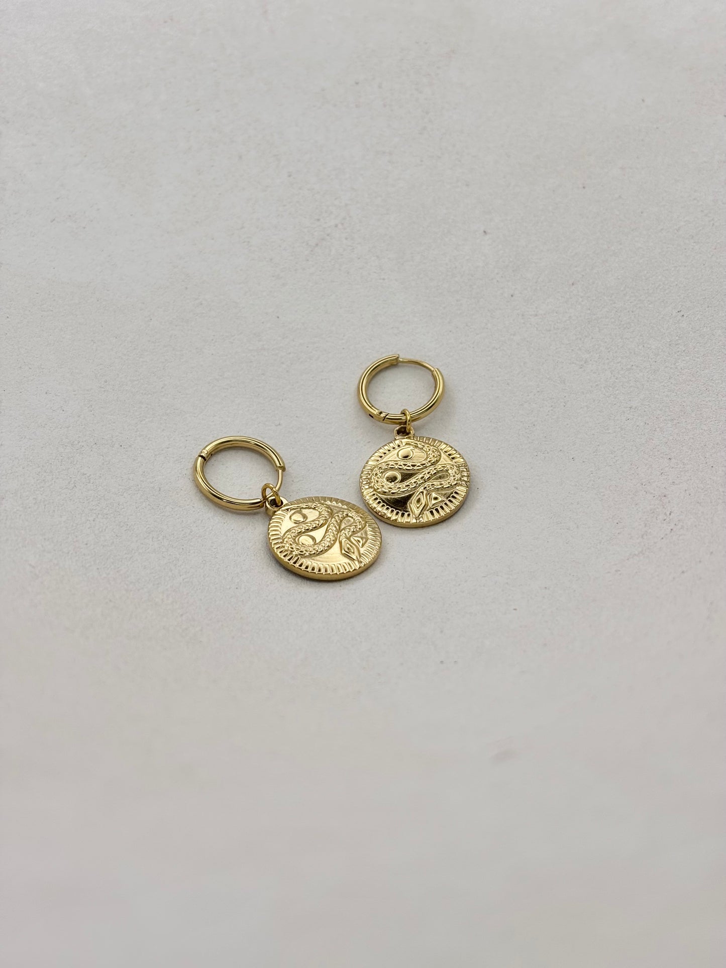 BOUCLES D'OREILLES N°80