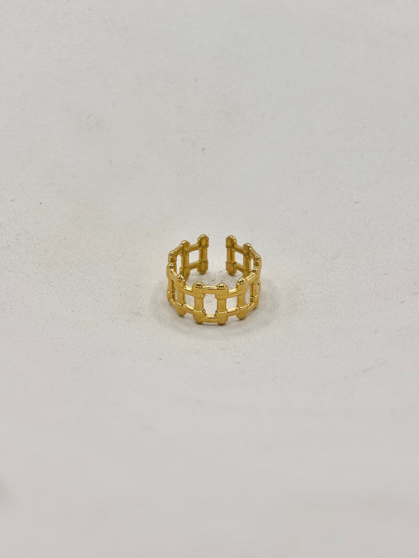 BAGUE N°55