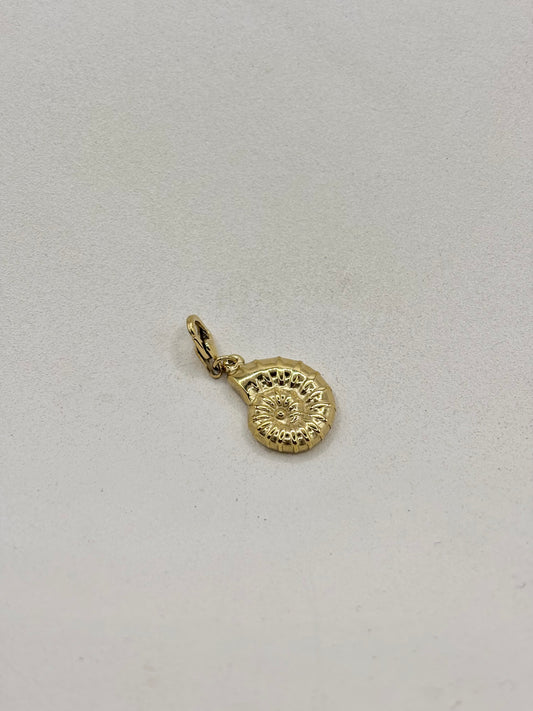 Charm · Coquillage
