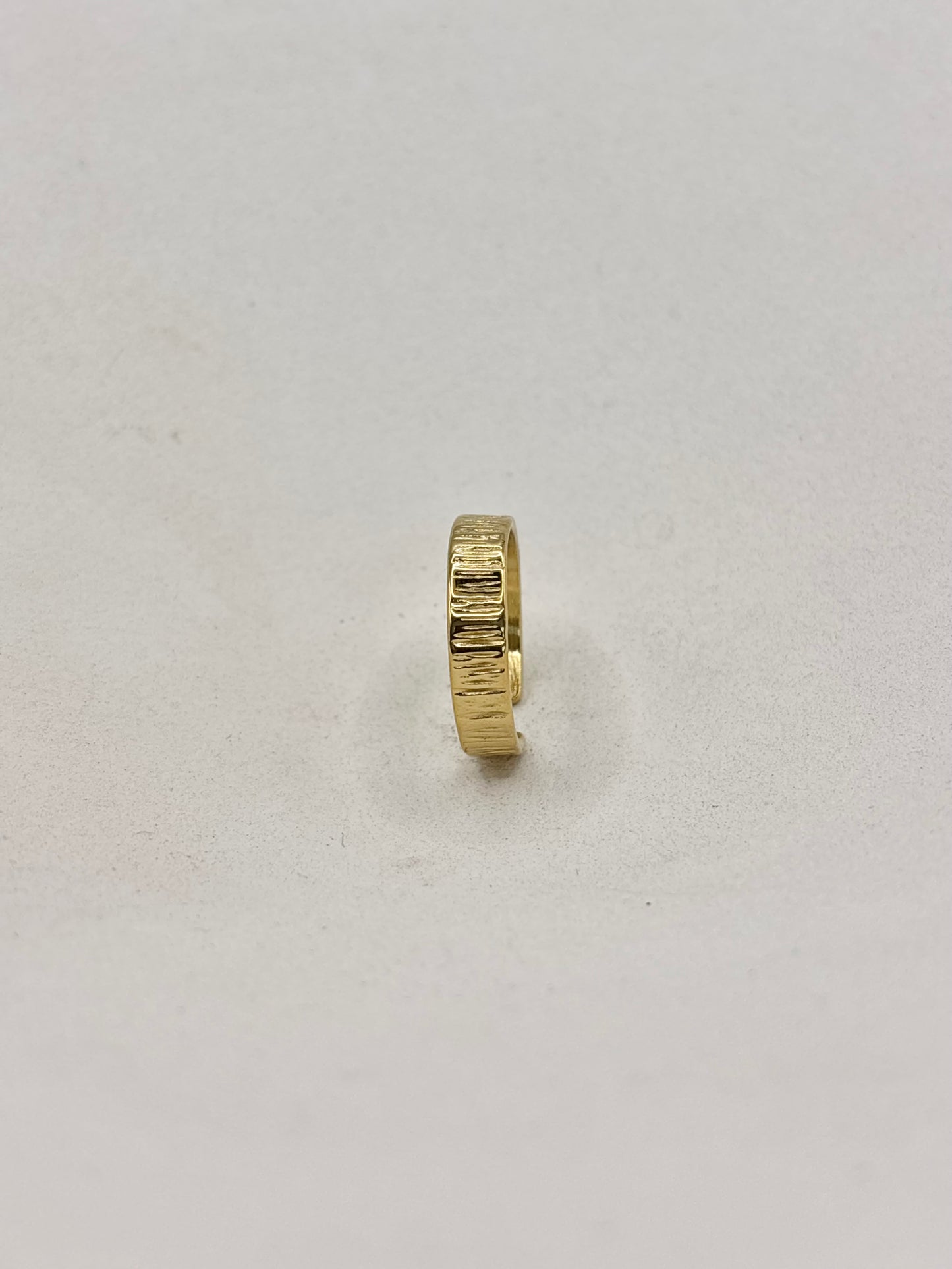BAGUE N°10