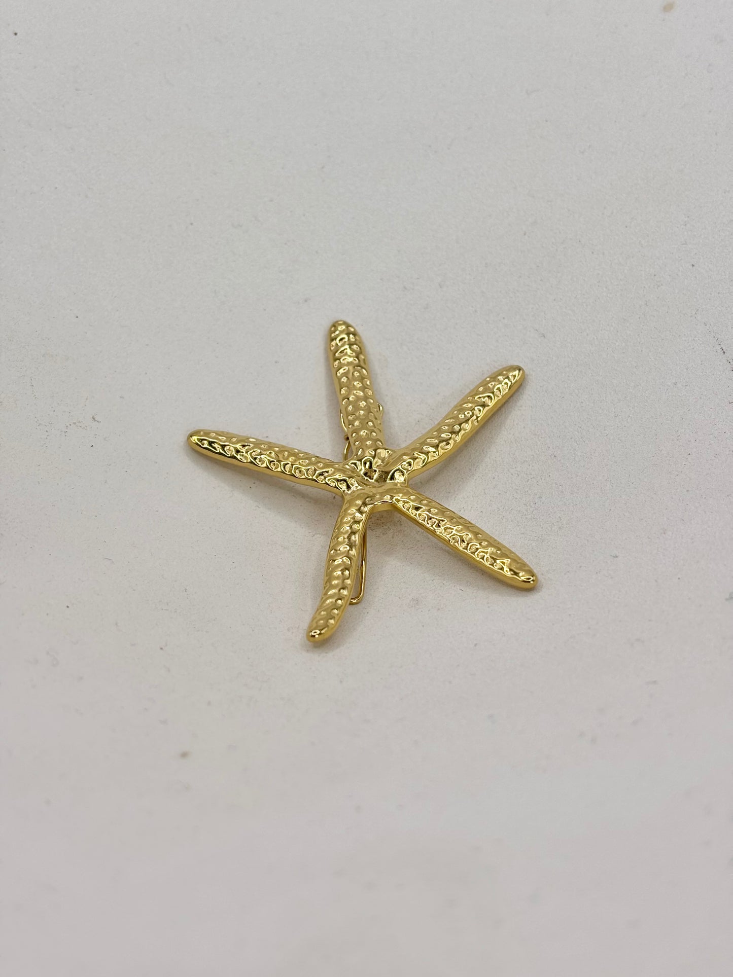 BROCHE · Étoile de mer