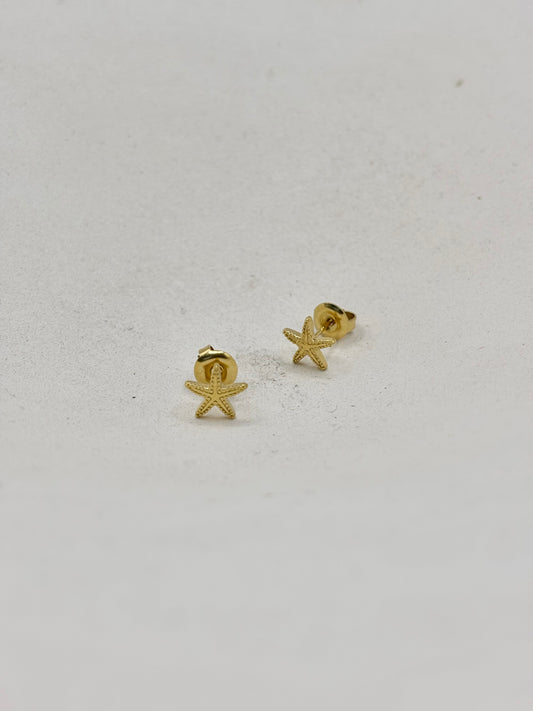 BOUCLES D'OREILLES N°202