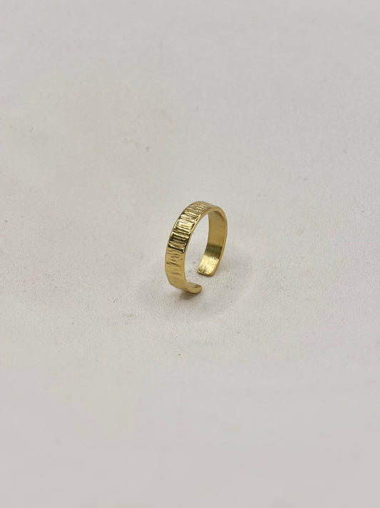 BAGUE N°10