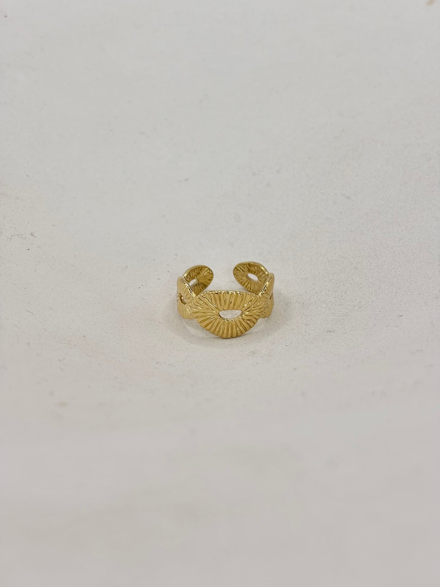 BAGUE N°118